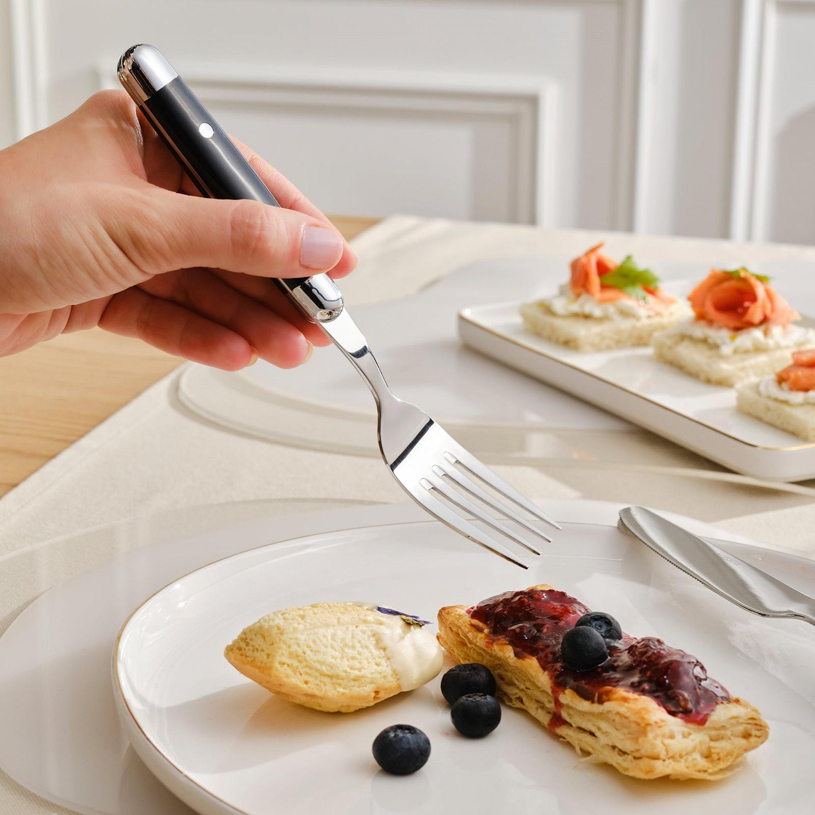 Набор вилок, ножей и ложек Karaca Alina, 24 предмета, на 6 персон, черный, фото №5 Набор вилок, ножей и ложек Karaca Alina, 24 предмета, на 6 персон, черный, фото №5