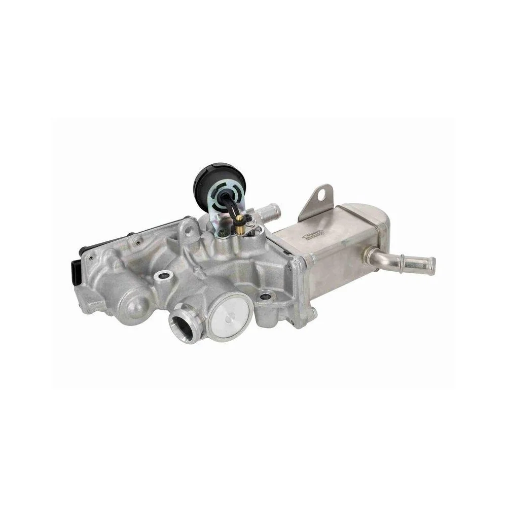 Клапан EGR VEMO V46-63-0015 RENAULT, фото №1