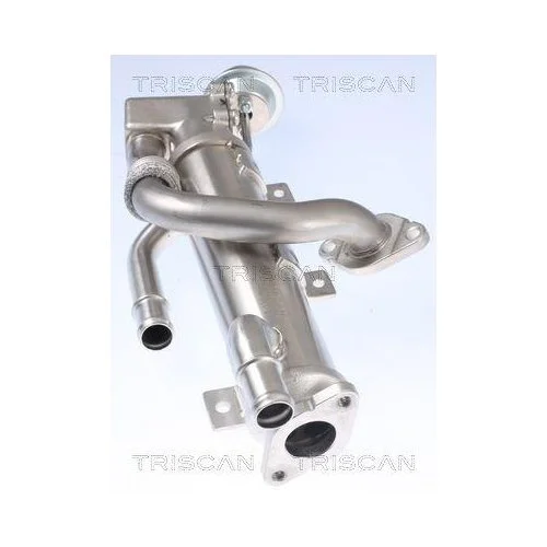 Радиатор EGR TRISCAN 8813 29333 для AUDI HITACHI, фото №3