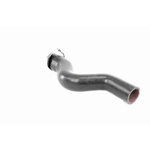 Шланг інтеркулера VAICO V46-1034 Q+ FORD RENAULT, фото №3