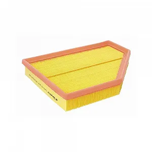 Воздушный фильтр VAICO Green Mobility Parts V20-5163 для BMW TOYOTA - Фото 1