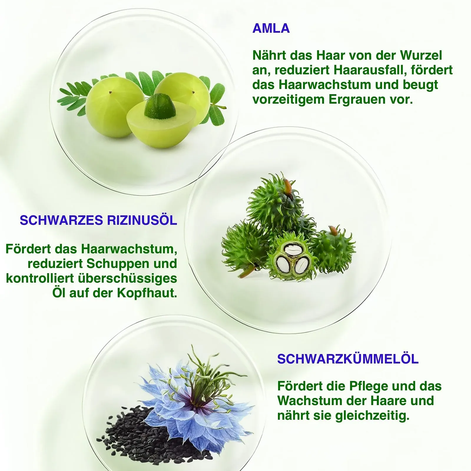 Набір для росту волосся 3-в-1 P-Beauty Кондиціонер, Шампунь, Олія Для всіх типів волосся, фото №3