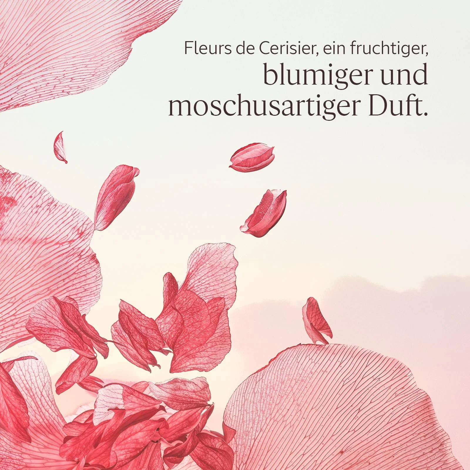 Набір для догляду за тілом L'OCCITANE Cherry Blossom: Гель для душу, Молочко для тіла з мерехтінням та Крем для рук, фото №2