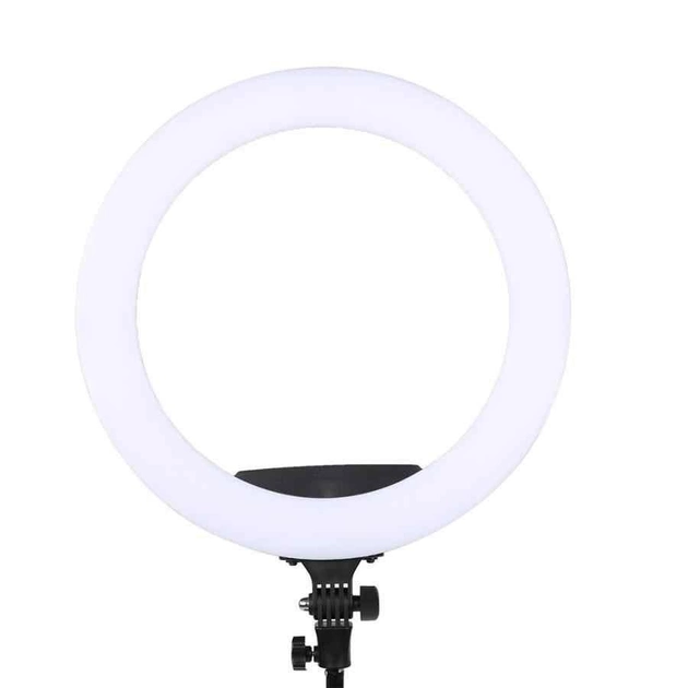 Светодиодная кольцевая лампа Ring Fill Light RL 12/QX300 диаметр 30 см, фото №1