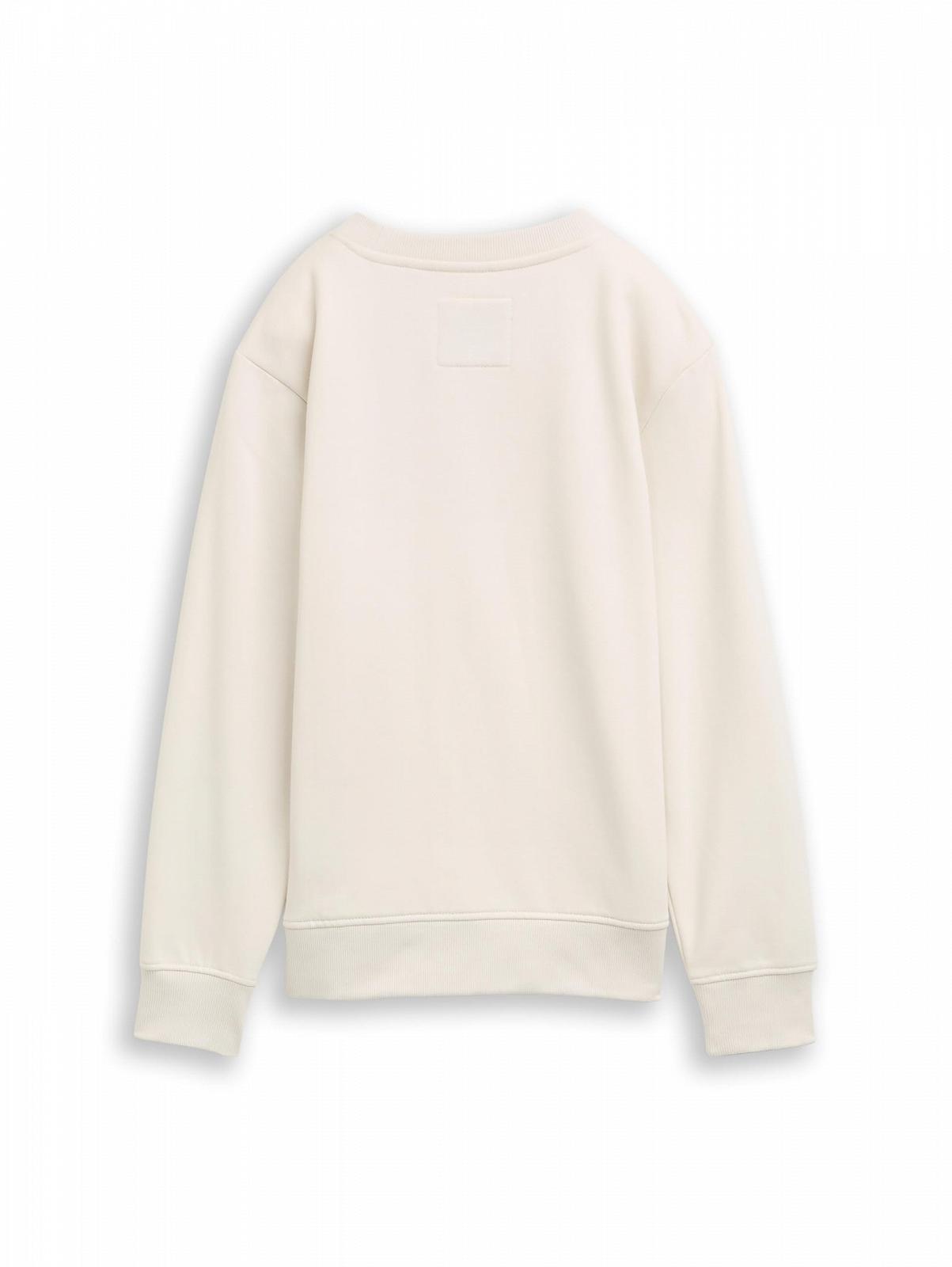 Свитшот TOM TAILOR для мальчиков, фото №2