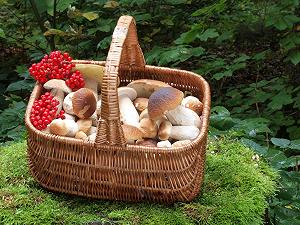Купить Пазл CALVENDO Landscape Mushroom Basket with Porcini Mushrooms 1000 деталей 64 x 48 см - Фото 1 Пазл CALVENDO Landscape Mushroom Basket with Porcini Mushrooms 1000 деталей 64 x 48 см - Фото 1