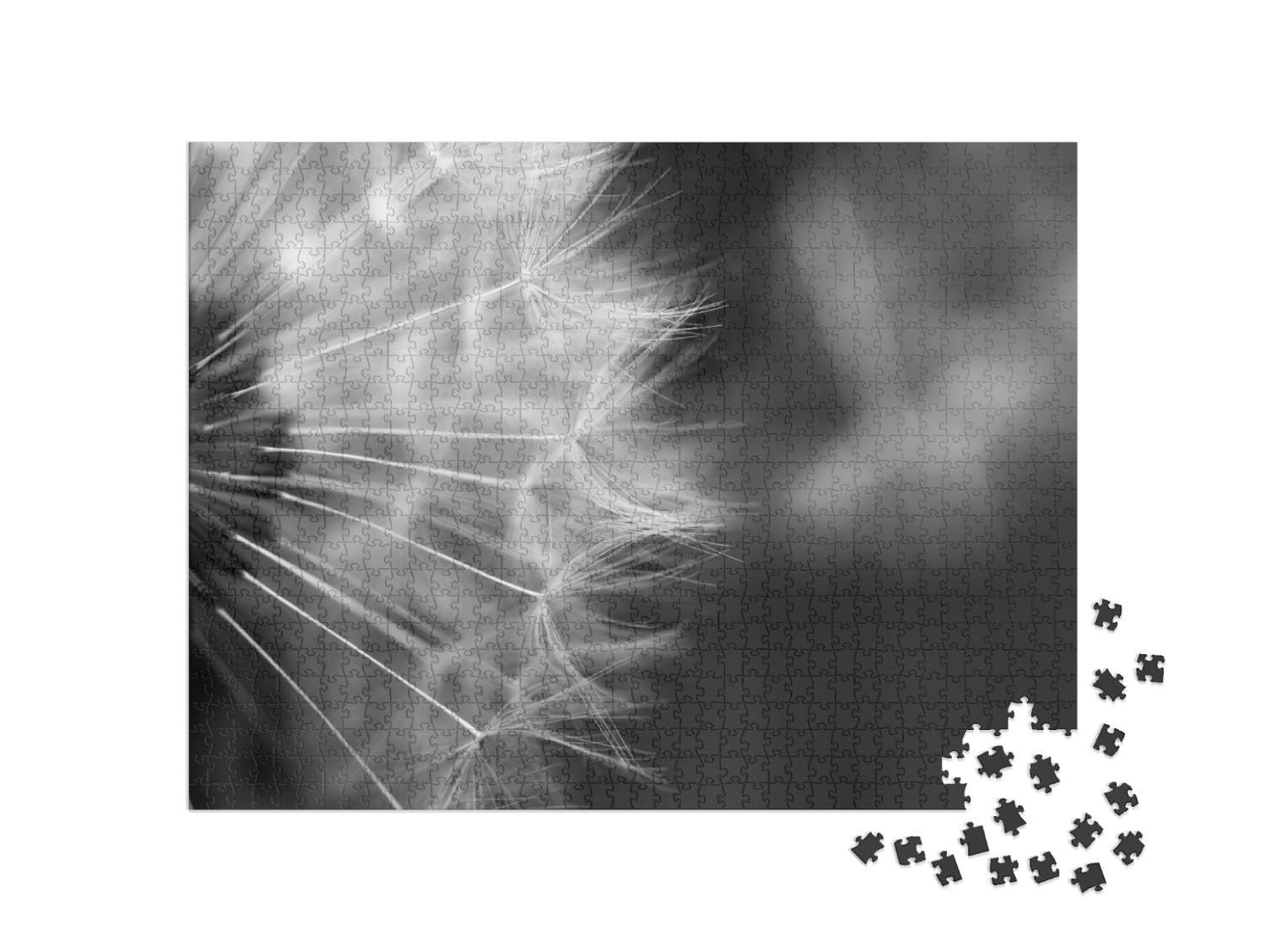 Пазл puzzleYOU Puzzle Collection Photo Art "Макрофотография одуванчика, черно-белая" 1000 элементов, фото №2