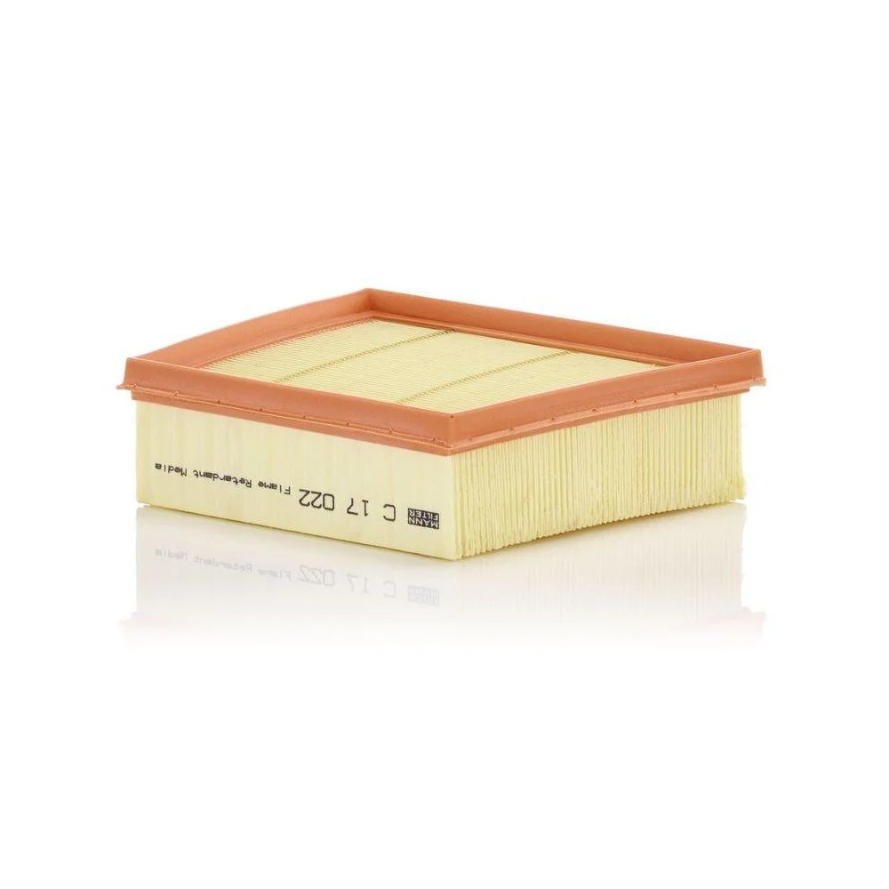 Повітряний фільтр MANN-FILTER C 17 022 для FORD, фото №1