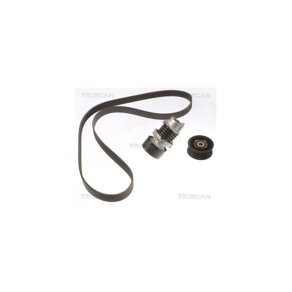 Комплект поликлинового ремня TRISCAN 8642 25012 для NISSAN RENAULT DACIA, фото №1