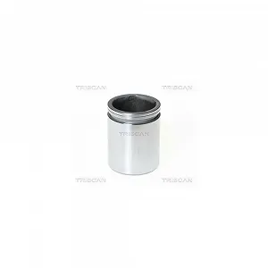 Поршень гальмівного супорта TRISCAN 8170 234610 - Фото 1