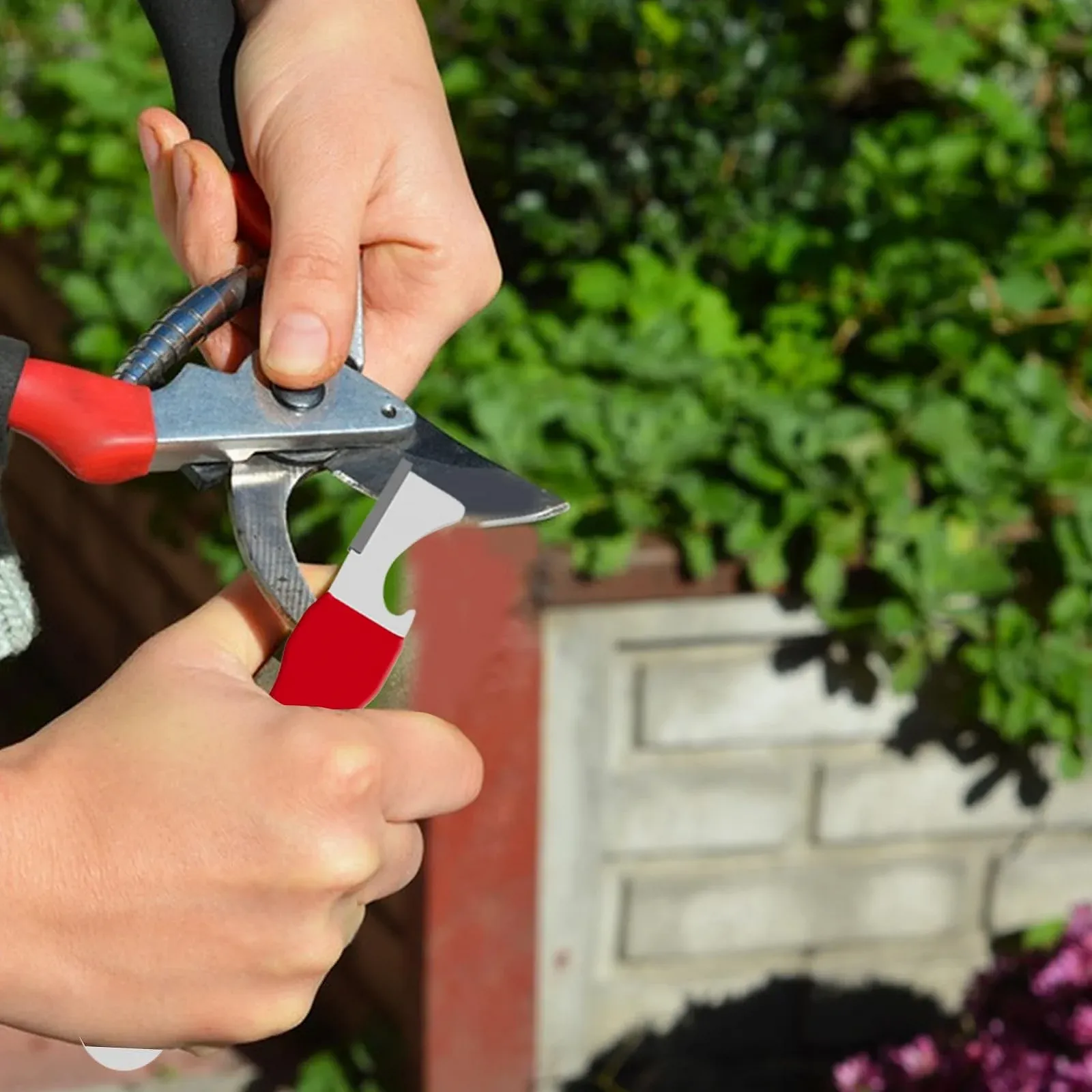 Точилка Sirboying Multifunction для саду портативна з викруткою та відкривачкою, фото №4