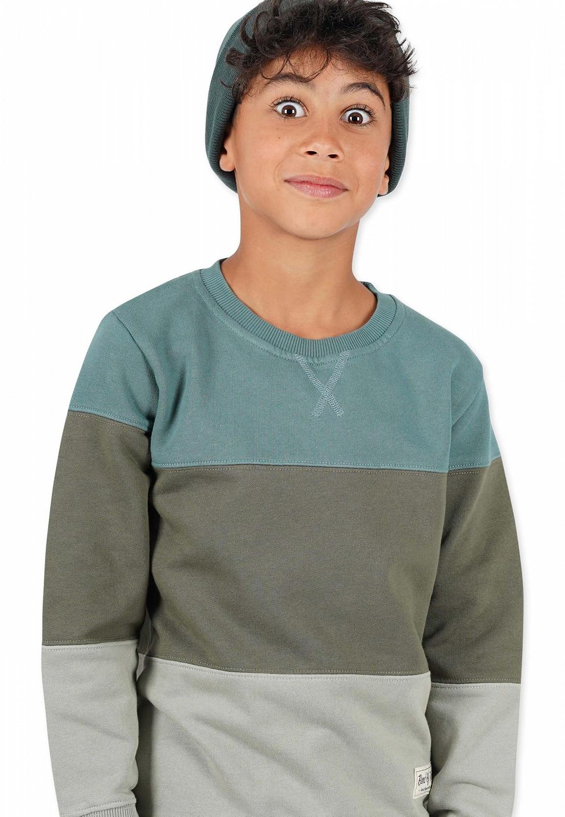 Дитячий світшот Band of Rascals 3c block з органічної бавовни, фото №2 Дитячий світшот Band of Rascals 3c block з органічної бавовни, фото №2