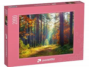 Пазл puzzleYOU Флора, Природа, Растения, Цветы и растения, Небо и времена года Осенний природный ландшафт 2000 элементов - Фото 1