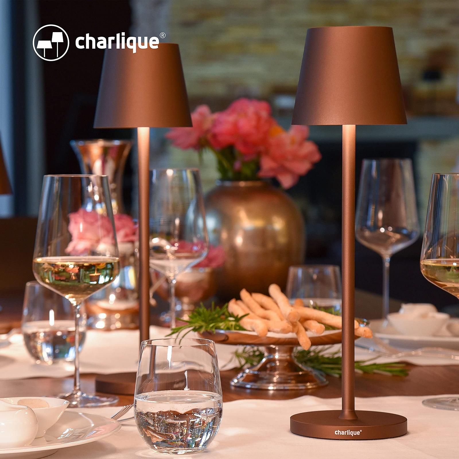 Світлодіодна настільна лампа з акумулятором та USB-зарядкою регульована яскравість, фото №3