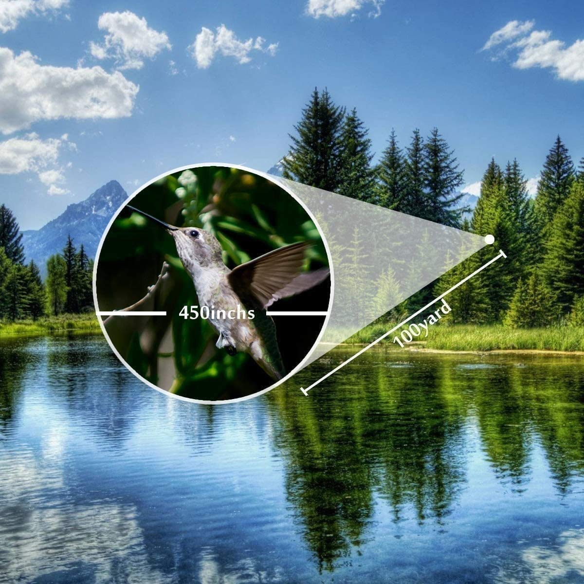 Монокуляр QHYTL 40X60 для дорослих з штативом BAK4 Prisma для спостереження за птахами полювання на дику природу походи, фото №6