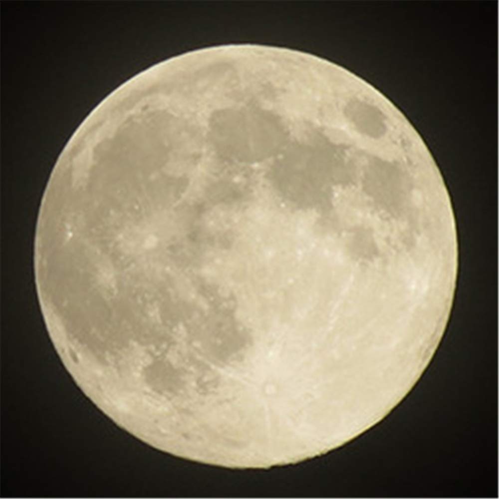 Телескоп Praktisches Teleskop 10X60 з тримачем для телефону та штативом, фото №2