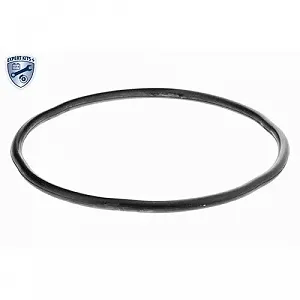 Корпус паливного фільтра VAICO V22-0746 EXPERT KITS + для CITROËN FIAT PEUGEOT synthetic.ua - Фото 1