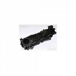 Впускной коллектор TRISCAN 8910 11101 для BMW - Фото 1