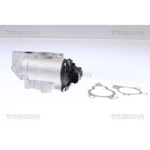 Клапан EGR TRISCAN 8813 14025 для NISSAN, фото №2