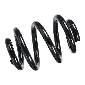 Пружина підвіски FEBI BILSTEIN Задній міст - Фото 1