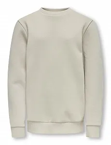 Купити Толстовка Only & sons junior Osjceres Crew Neck SWT Noos - Фото 1 Толстовка Only & sons junior Osjceres Crew Neck SWT Noos - Фото 1