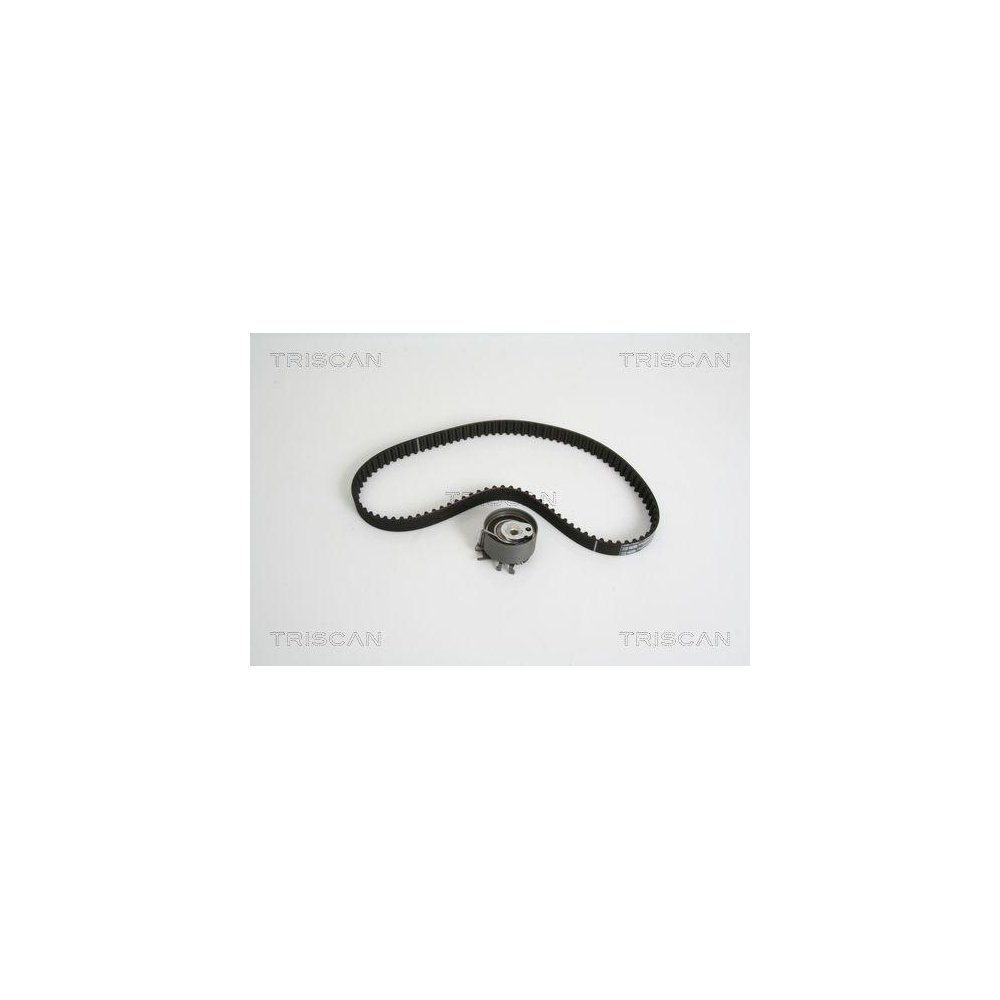 Комплект ременя ГРМ TRISCAN 8647 25031 для RENAULT DACIA, фото №1
