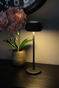 Настольная лампа PL401 аккумуляторная сенсорная диммируемая теплый белый 35.5 см - Фото 1