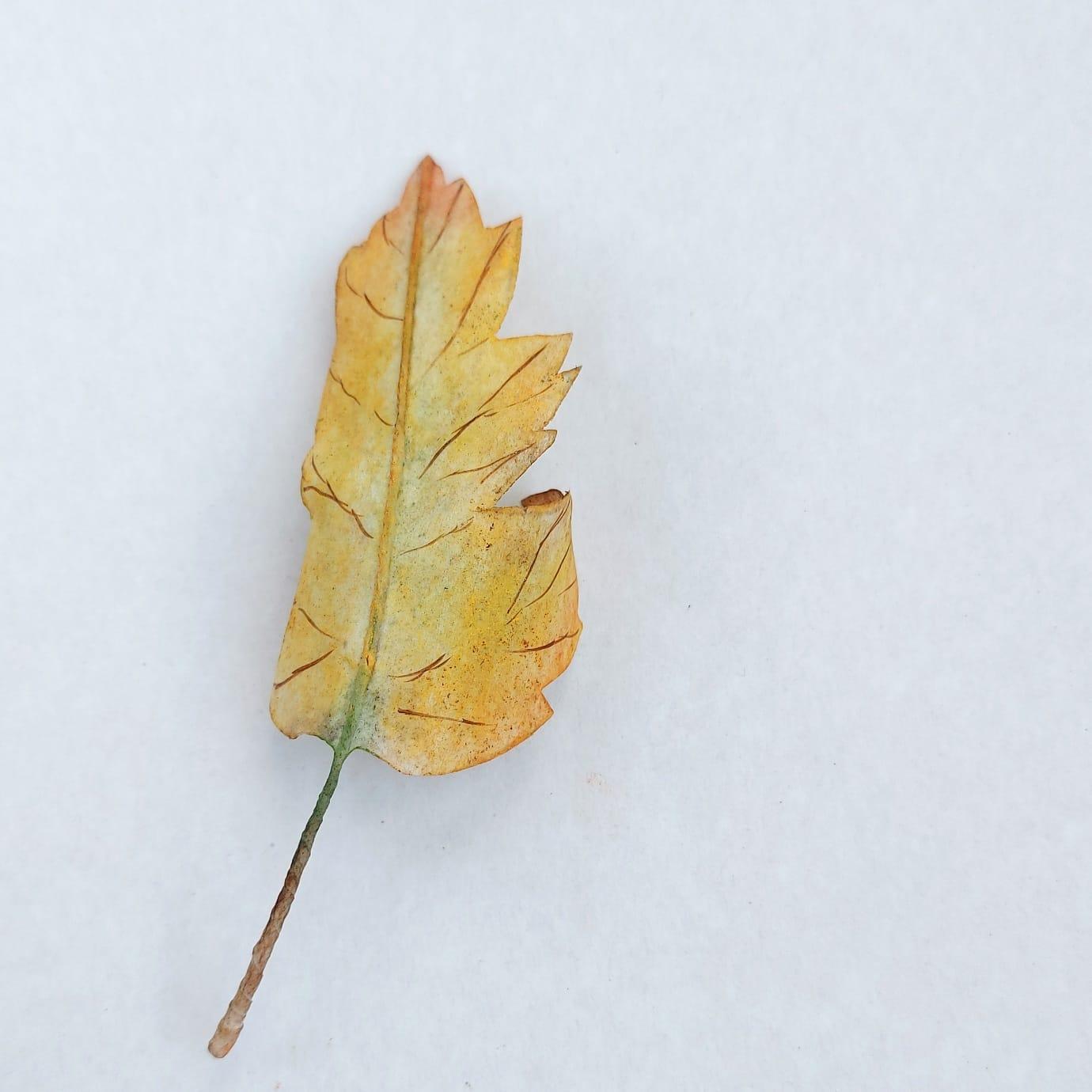 Вафельные цветы SiNegur Осенние листья, набор (7шт.) (ls_topper_leaves7set), фото №6