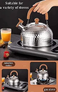 Чайник зі свистком з нержавіючої сталі Плита - Фото 1