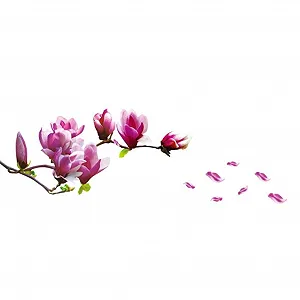 Наклейка на стіну Магнолія Квіти DIY PVC - Фото 1