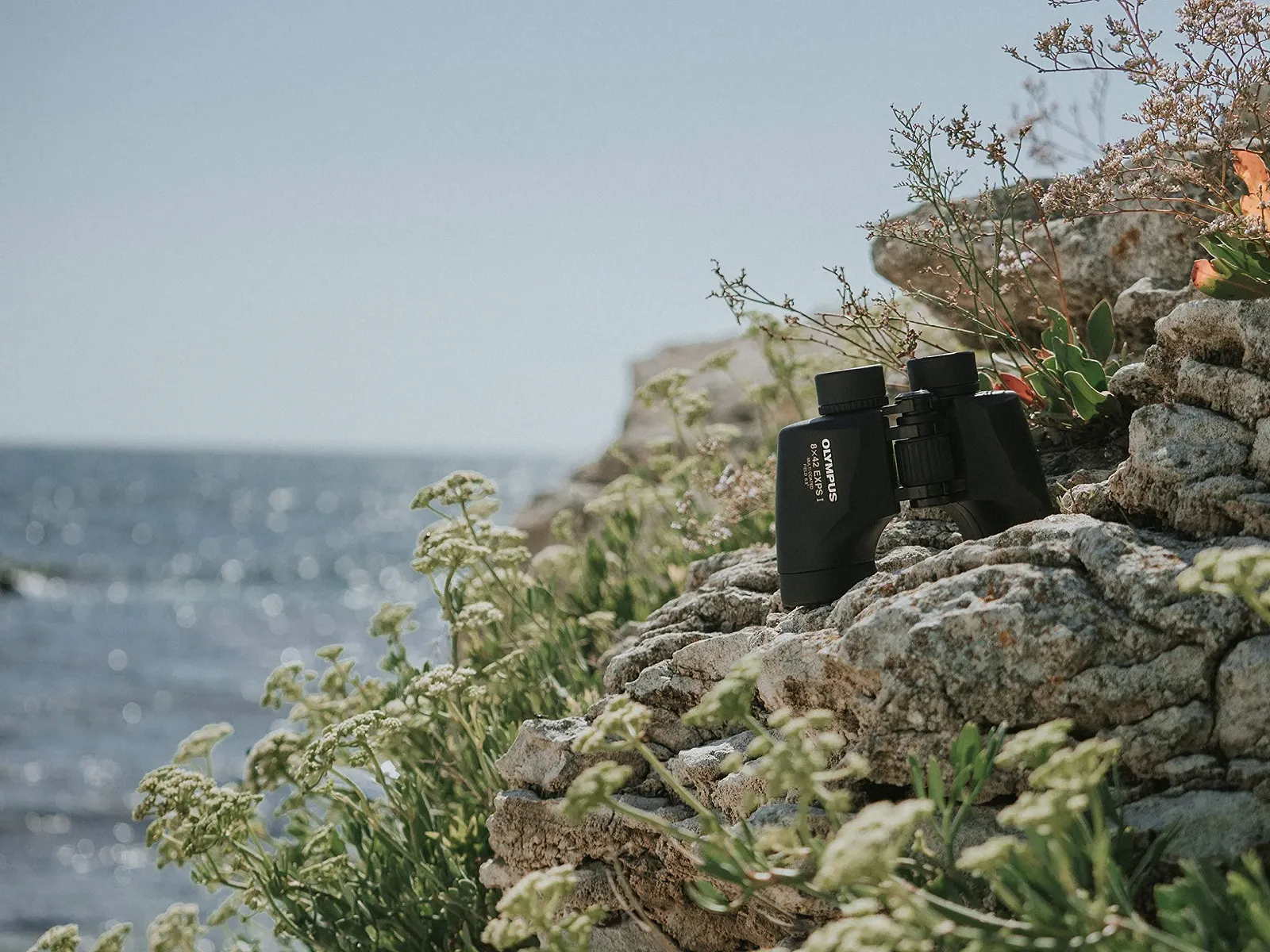 Бинокль Olympus EXPS 1 8 X 42, фото №4