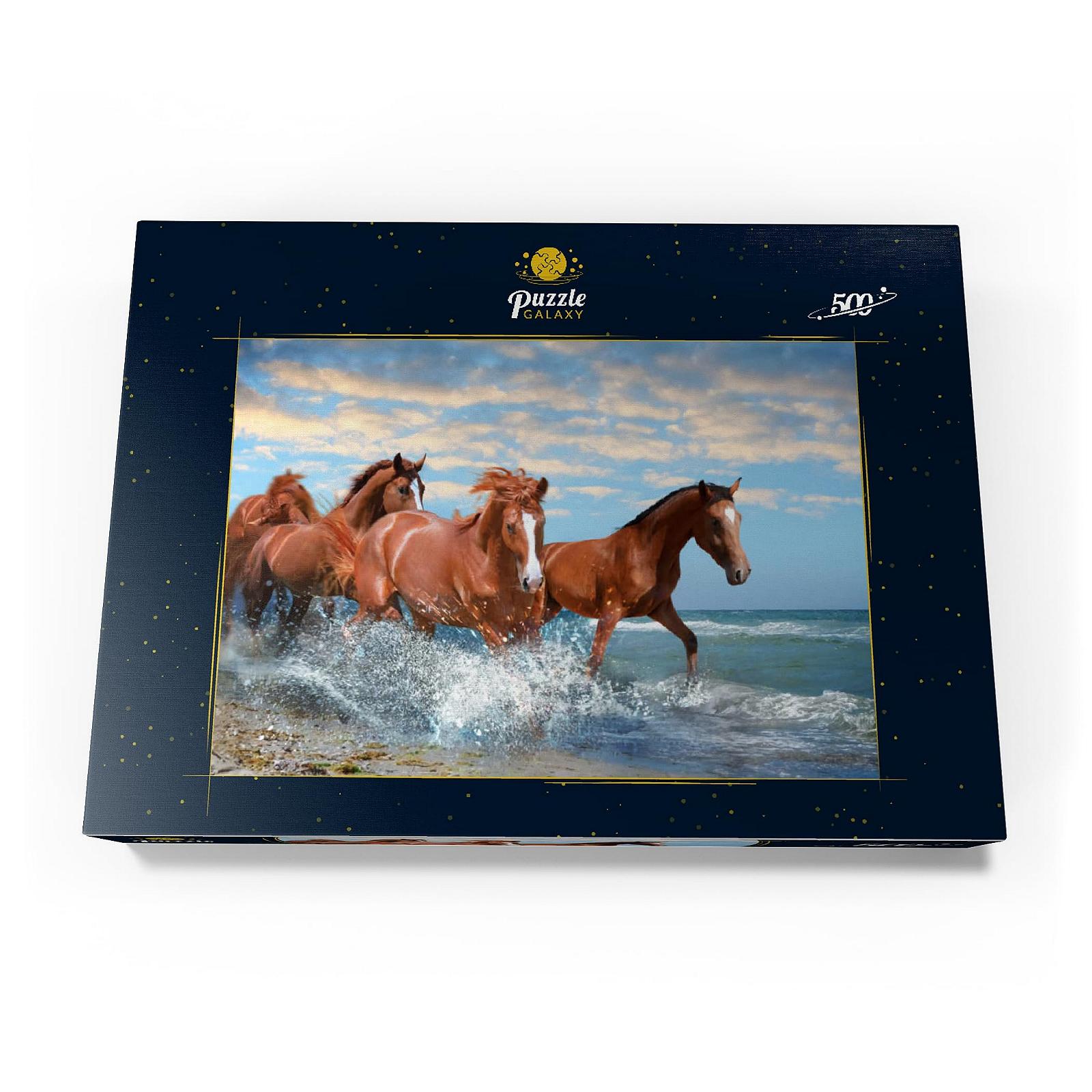 Пазл MyPuzzle Special Collection Beautiful Horses Running on the Beach through the Sea Premium 500 деталей, фото №4 Пазл MyPuzzle Special Collection Beautiful Horses Running on the Beach through the Sea Premium 500 деталей, фото №4