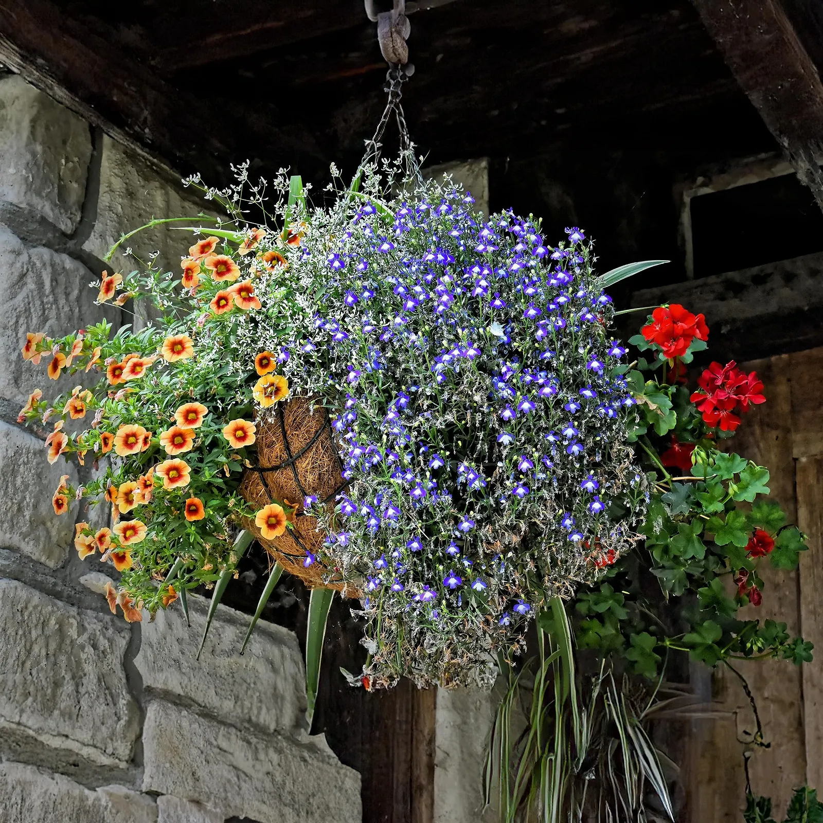 Підвісний кошик Spetebo металевий з кокосовою вставкою 30 см Чорний / Натуральний, фото №5 Підвісний кошик Spetebo металевий з кокосовою вставкою 30 см Чорний / Натуральний, фото №5