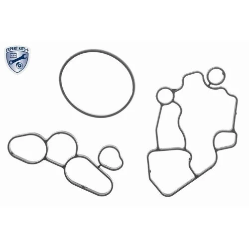 Корпус масляного фільтра VAICO V10-3699 EXPERT KITS + для AUDI SEAT SKODA VW VAG, фото №3 Корпус масляного фільтра VAICO V10-3699 EXPERT KITS + для AUDI SEAT SKODA VW VAG, фото №3