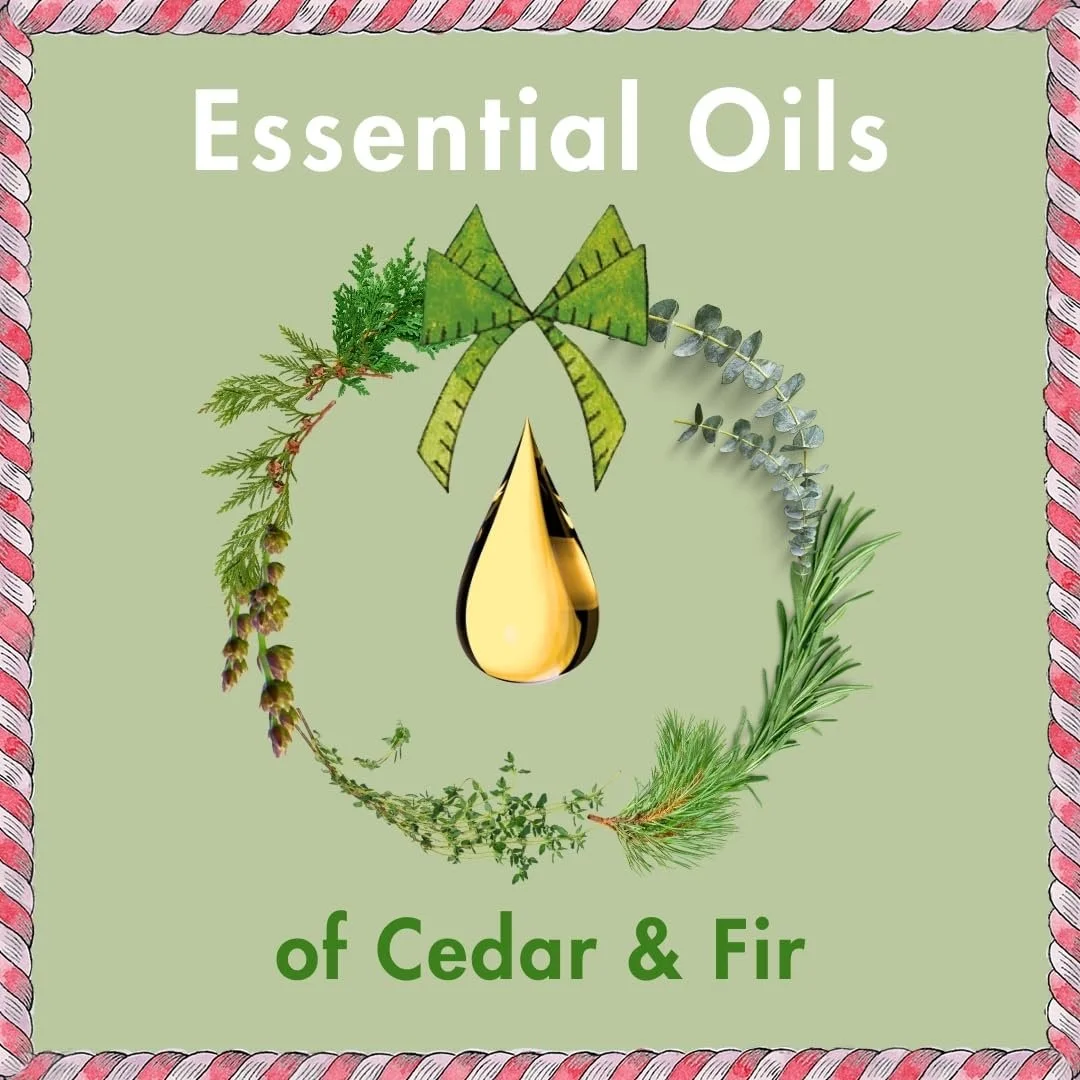 Крем для рук Cath Kidston 100 мл, Лосьон для тела, Скраб для рук, Бальзам для рук 3 x 50 мл и Мешочек с солью для ванн 3 x 20 г, Набор для ухода за телом в жестяной банке, Дорожный размер, Веганский, фото №9