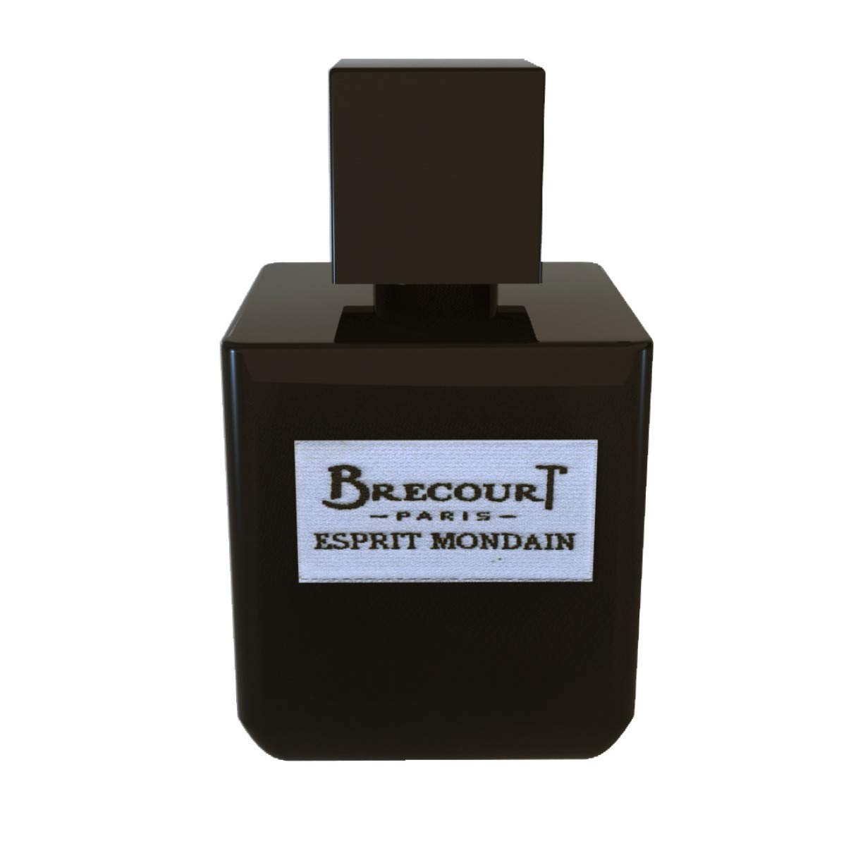 Eau De Parfum ESPRIT Brecourt Mondain Homme 50 мл, фото №1