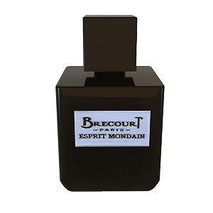 Eau De Parfum ESPRIT Brecourt Mondain Homme 50 мл - Фото 1