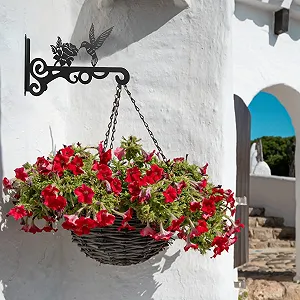 Кронштейни для підвісних кошиків Outdoor Hangers Надміцні Залізо synthetic.ua - Фото 1