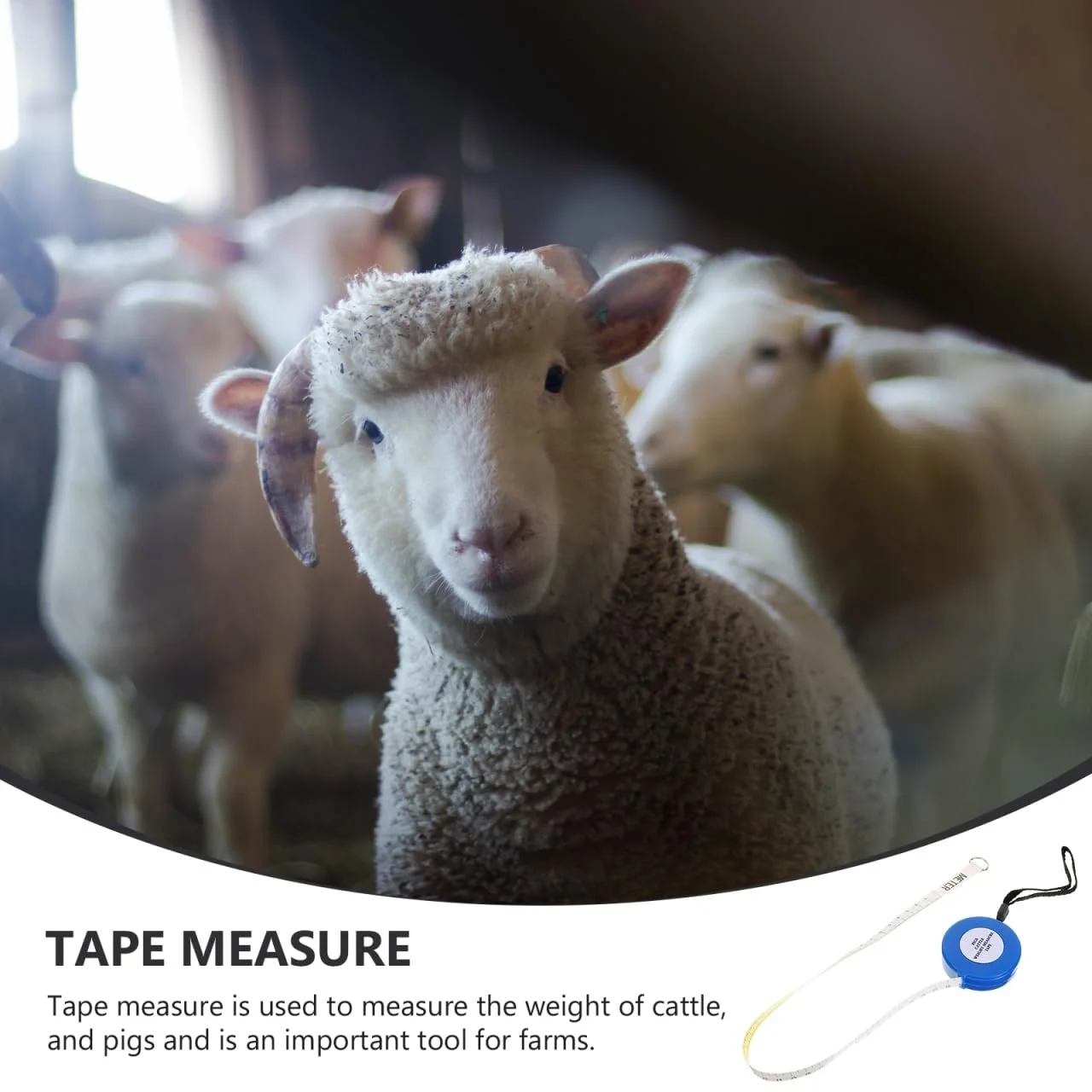 Рулетка для скота, коз и лошадей ARTIBETTER 2.5 м, портативная, фото №5 Рулетка для скота, коз и лошадей ARTIBETTER 2.5 м, портативная, фото №5