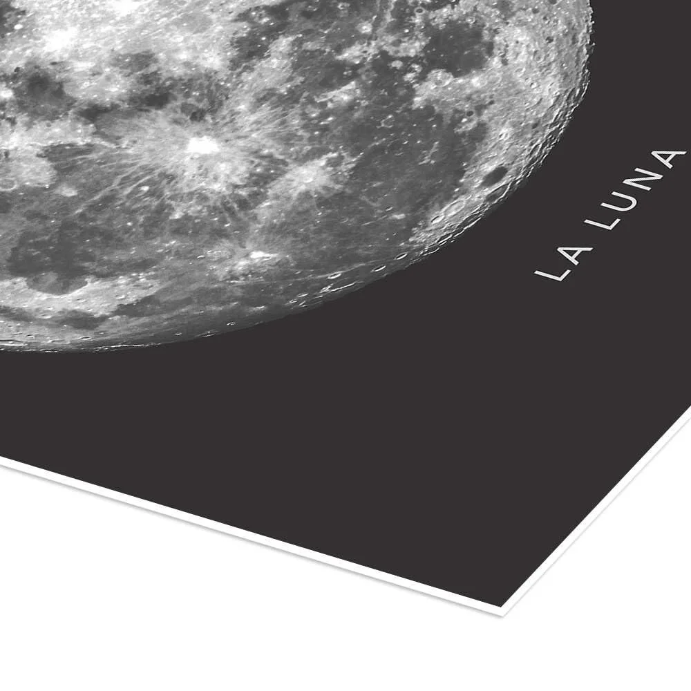 Постер Finlay and Noa La Luna Луна 50 x 70 см Черный, фото №3