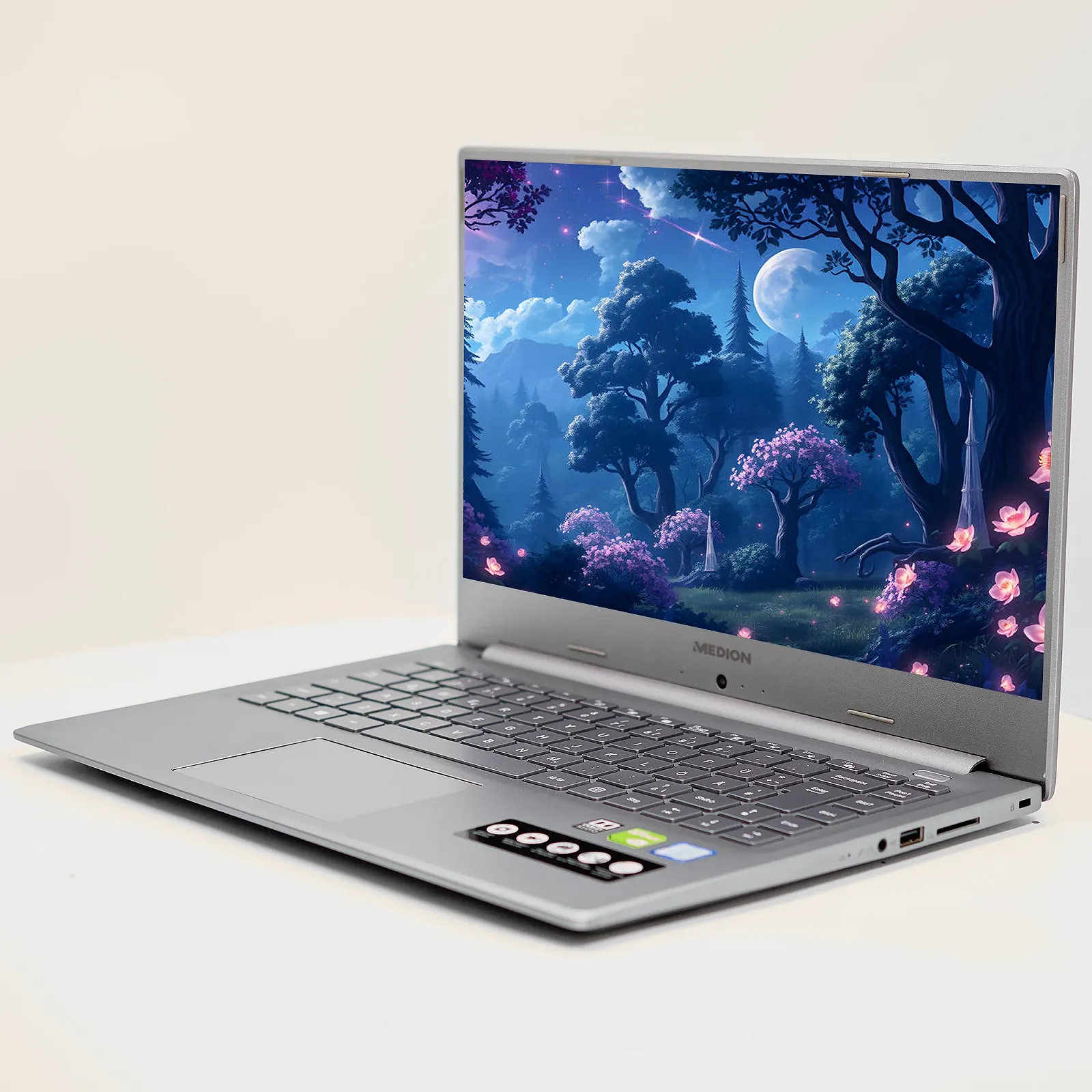 Ноутбук 15.6'' Medion (Lenovo Group) Akoya P15645 | Intel Core i7-8565U | IPS (1920x1080) FullHD | RAM 8 ГБ | SSD 256 ГБ | Nvidia GeForce MX250 | Intel UHD Graphics 620 | Металевий корпус | Win11 (4970), фото №3