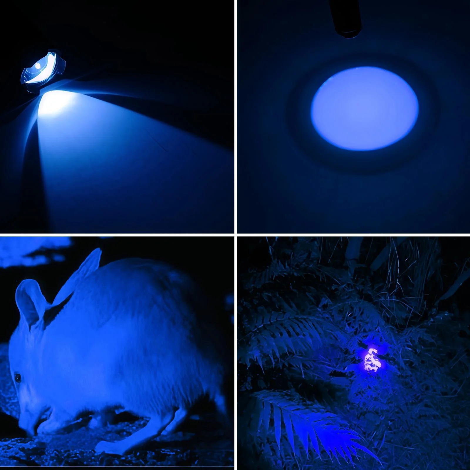 Ліхтарик Міні LED Blue Light 3 режими Zoomable з кліпсою Синій, фото №2