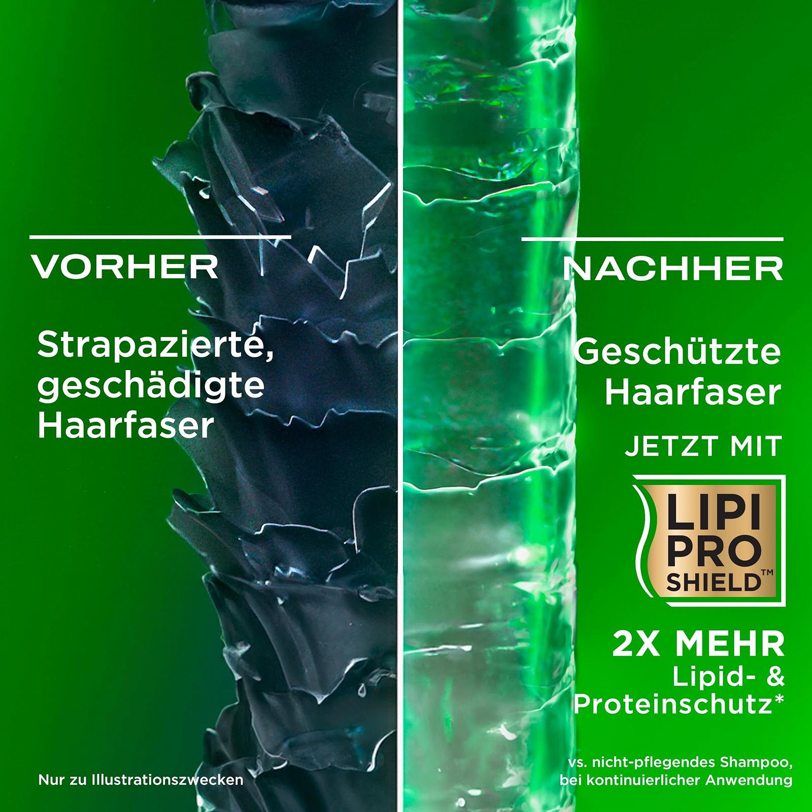 Шампунь OGX Refreshing Scalp+ Rosemary Mint Очищаючий 385 мл, фото №3 Шампунь OGX Refreshing Scalp+ Rosemary Mint Очищаючий 385 мл, фото №3