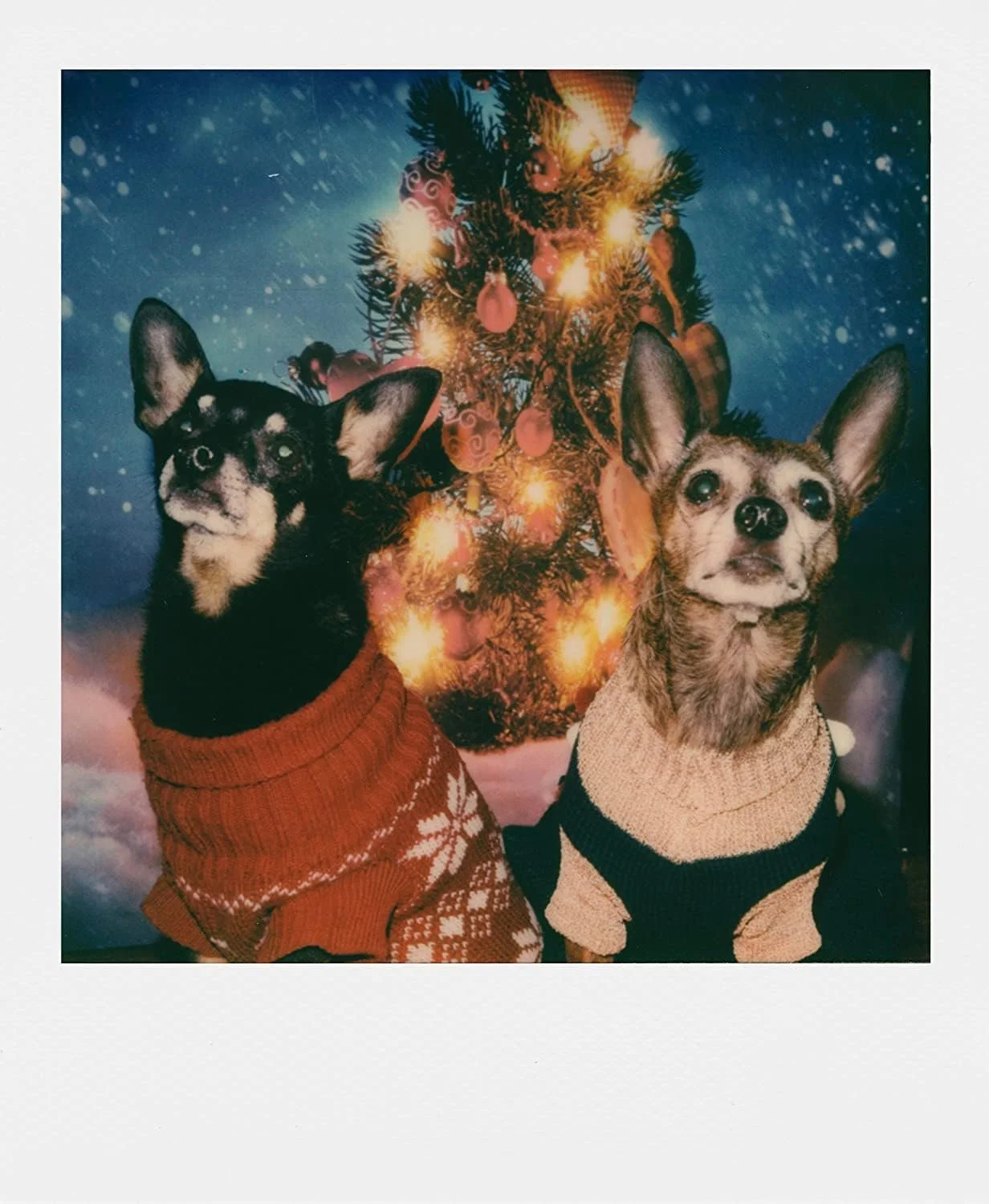 Камера мгновенной печати Polaroid Supercolor 635 CL, фото №7