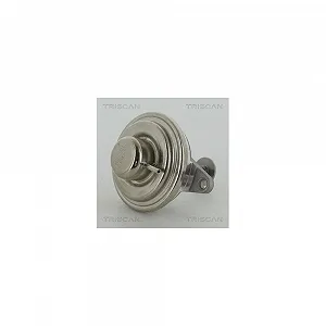 Клапан EGR TRISCAN 8813 24054 для OPEL SAAB VAUXHALL - Фото 1