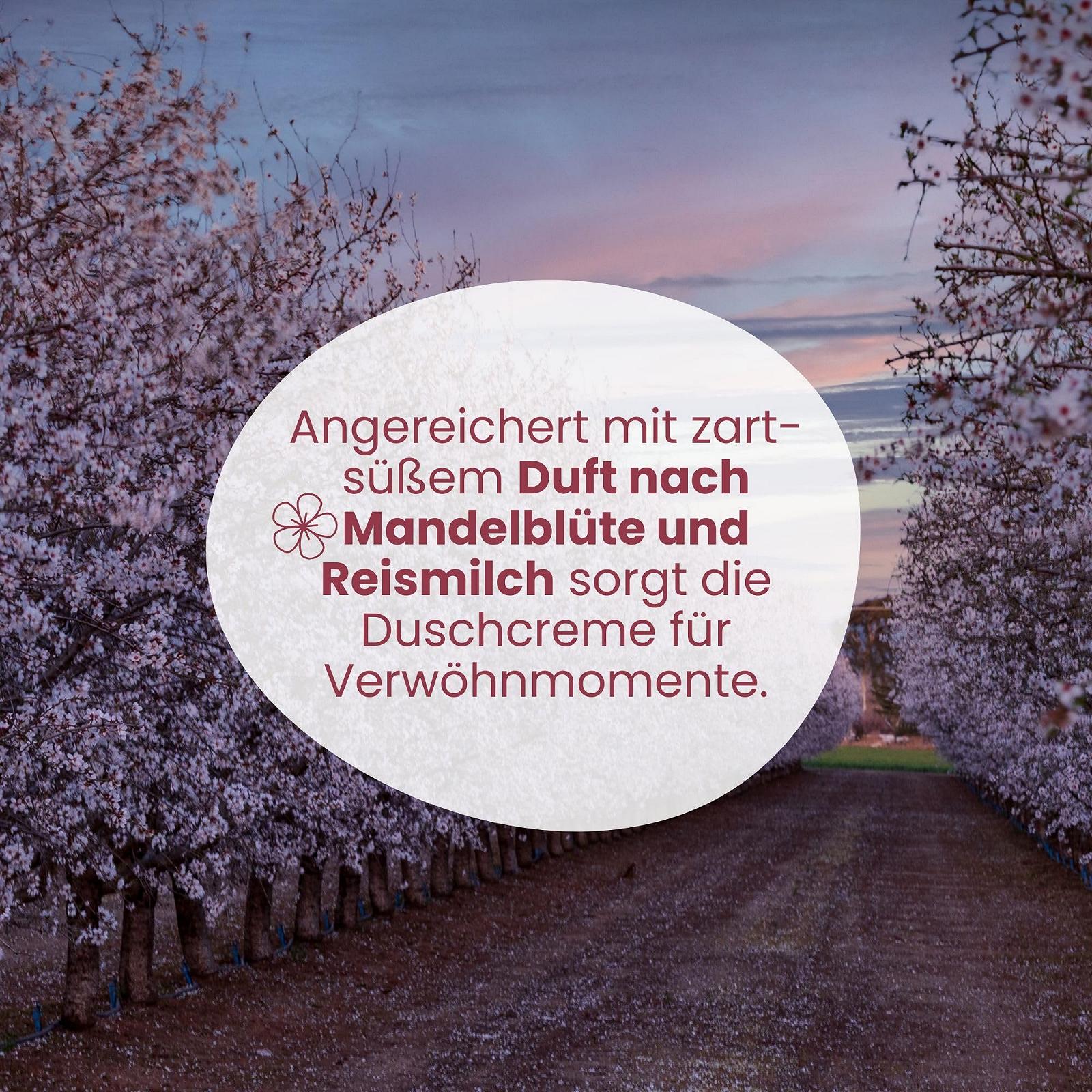 Крем-гель для душа Jean & Len Almond Blossom & Rice Milk для сухой и чувствительной кожи 250 мл, фото №5