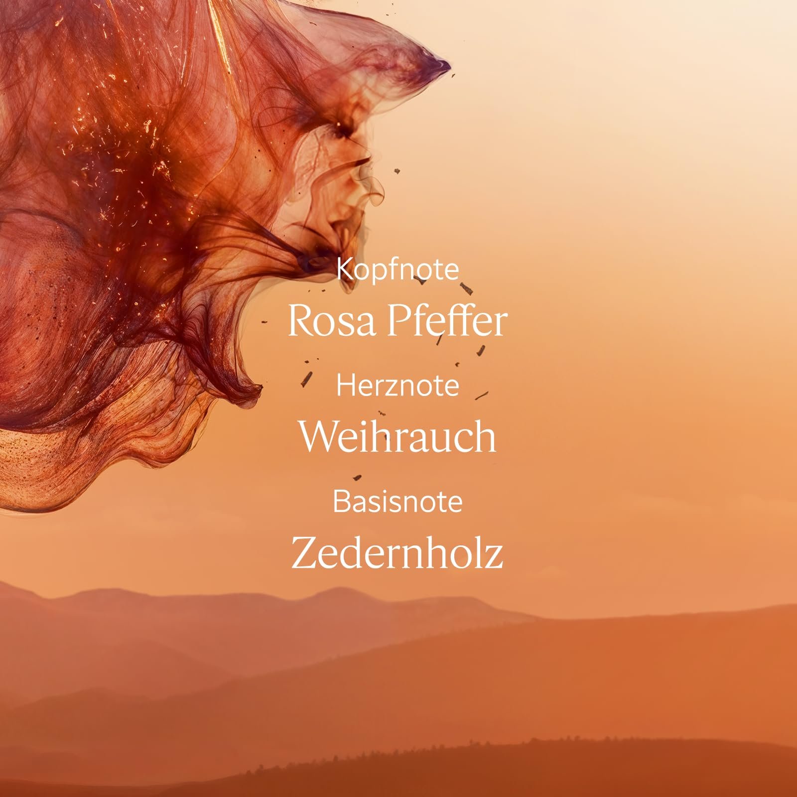 Гель для душа L'OCCITANE Cèdre Encens 250 мл, фото №4