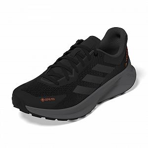 Кроссовки adidas Terrex Soulstride Flow GTX Unisex-Low - Фото 1