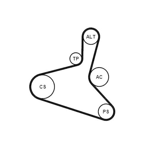 Комплект поликлинового ремня CONTINENTAL CTAM 6DPK1195K1, фото №2 Комплект поликлинового ремня CONTINENTAL CTAM 6DPK1195K1, фото №2