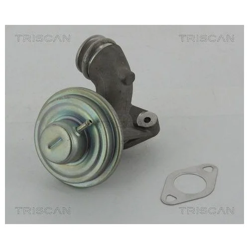 Клапан EGR TRISCAN 8813 10102 для CITROËN FORD PEUGEOT, фото №2